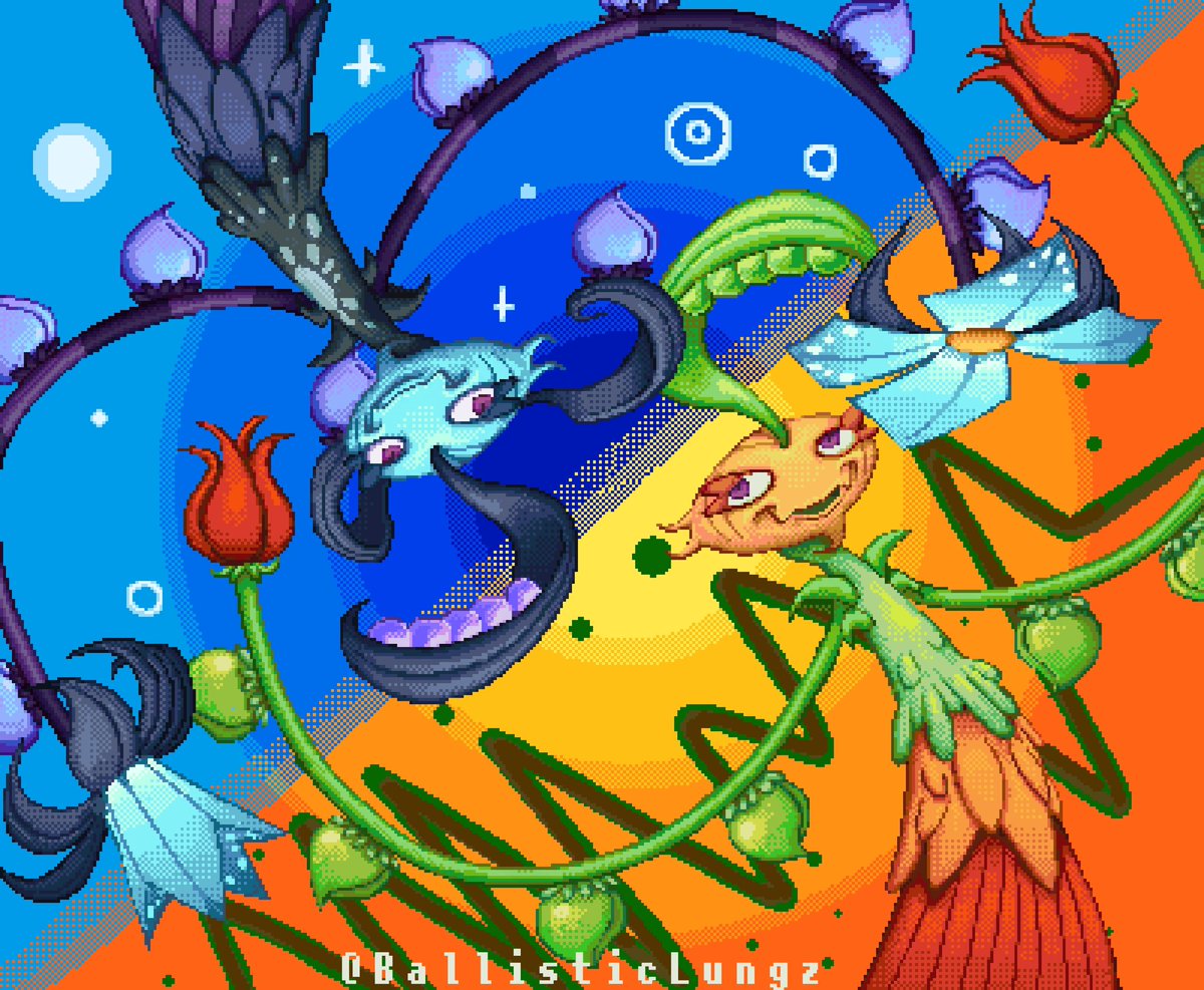 ballistic tweet media