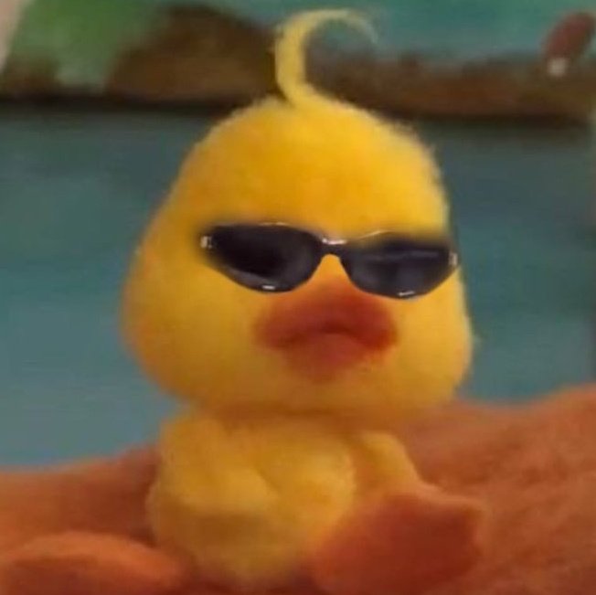 x - nat. 🪩 tweet media