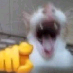 Photo by Jefferson (@leinh4rt)