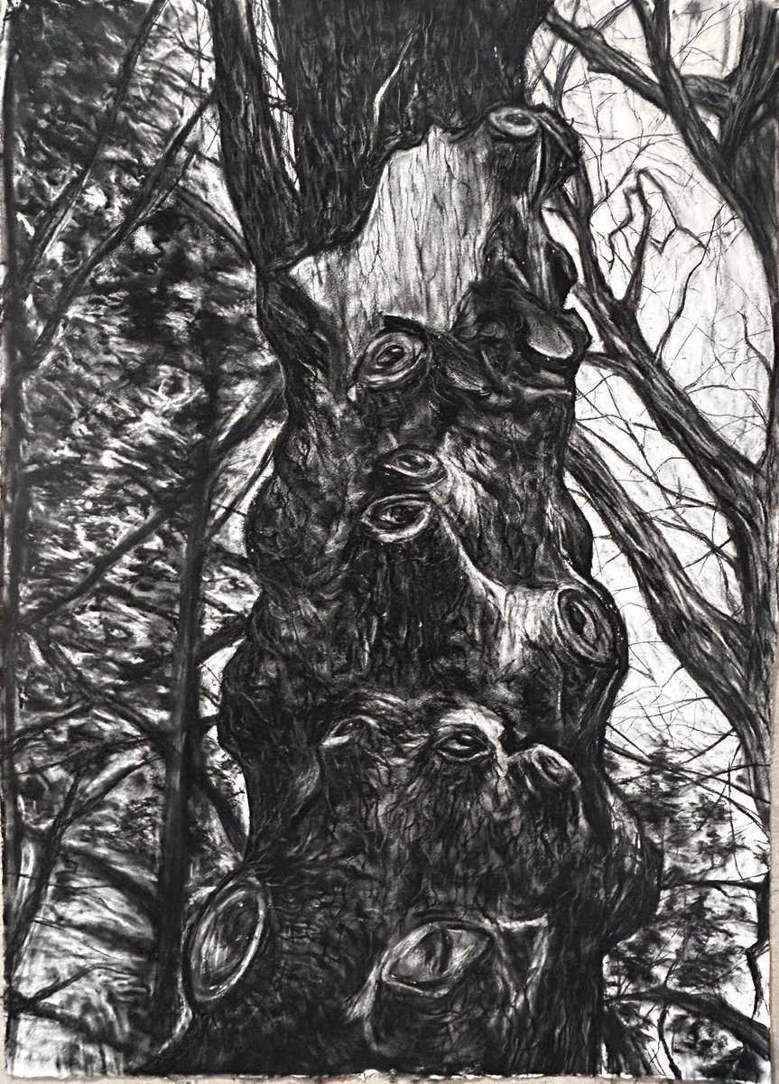 Sstaramel's tweet image. Tree with charcoal :3 

(Still in finals hell, so this is a filler post while I work on comms)

#smallartist #art #traditionalarts