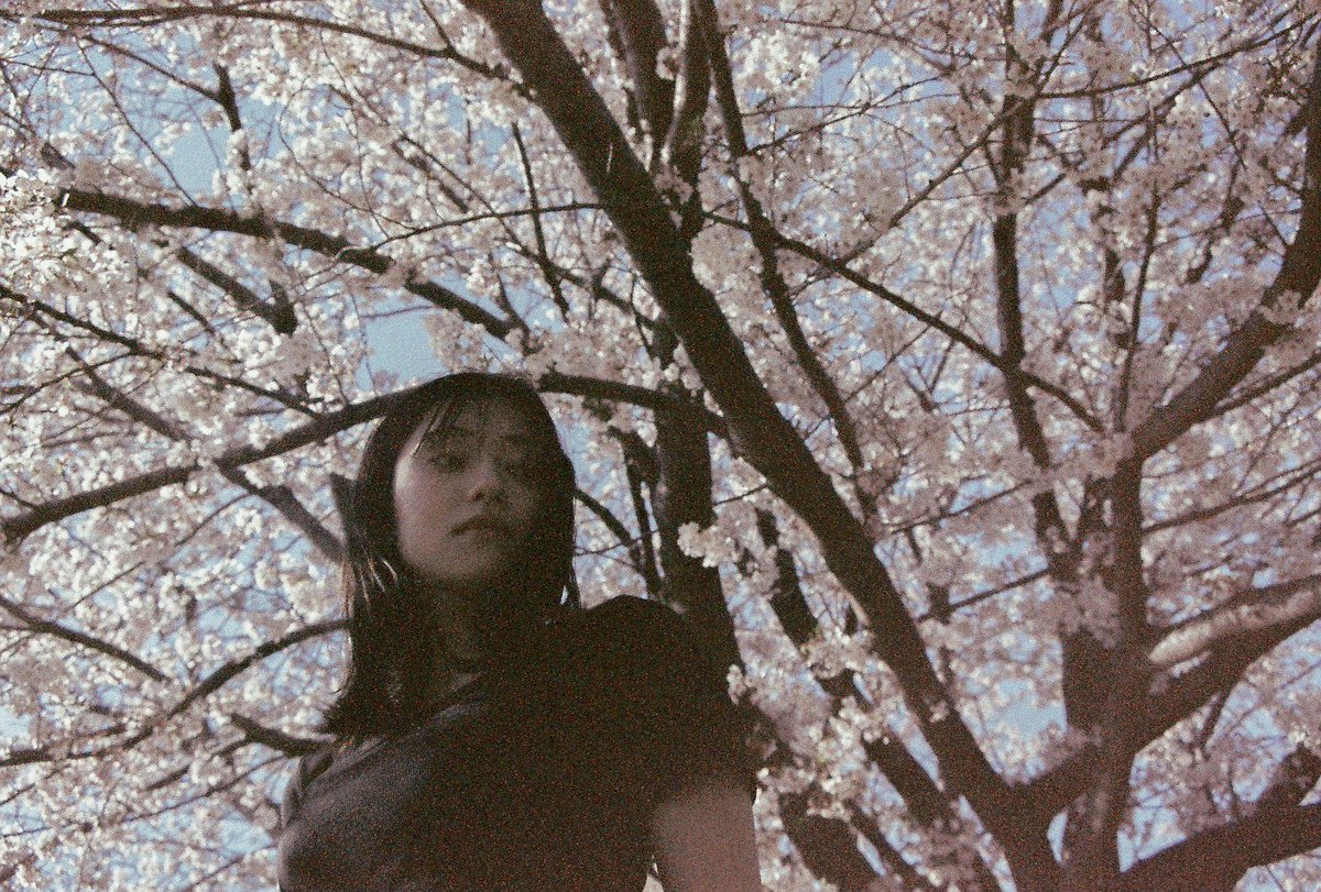 音は、無事大学院に合格したシシくんが、今回は倉島さんのボイスからイメージを拡げてbotanica〜electronicaな優しい楽曲に仕上げてくれた。参加してくれた皆さんがそれぞれ共鳴した楽しいセッションになりとても刺激敵でした。
🎧 p-vine.lnk.to/Lc75bW