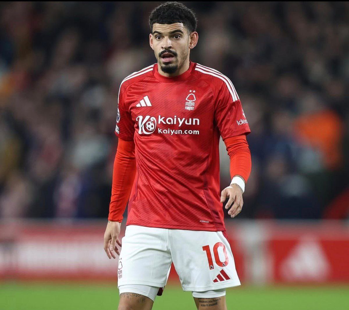 علي/Dr.Ali tweet media