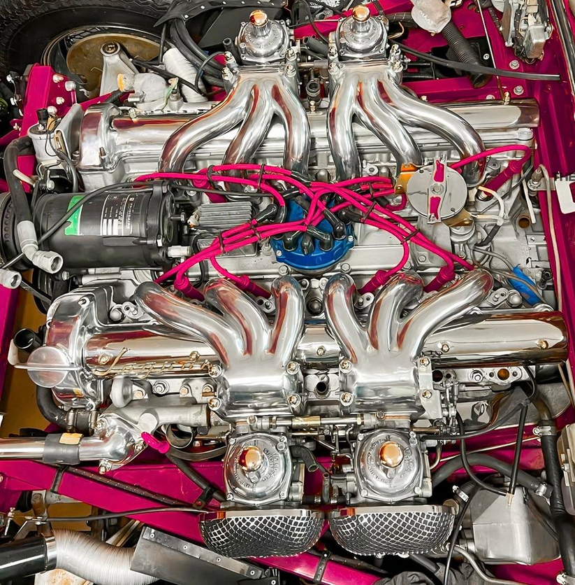 RobotPete of Selwyn! tweet media