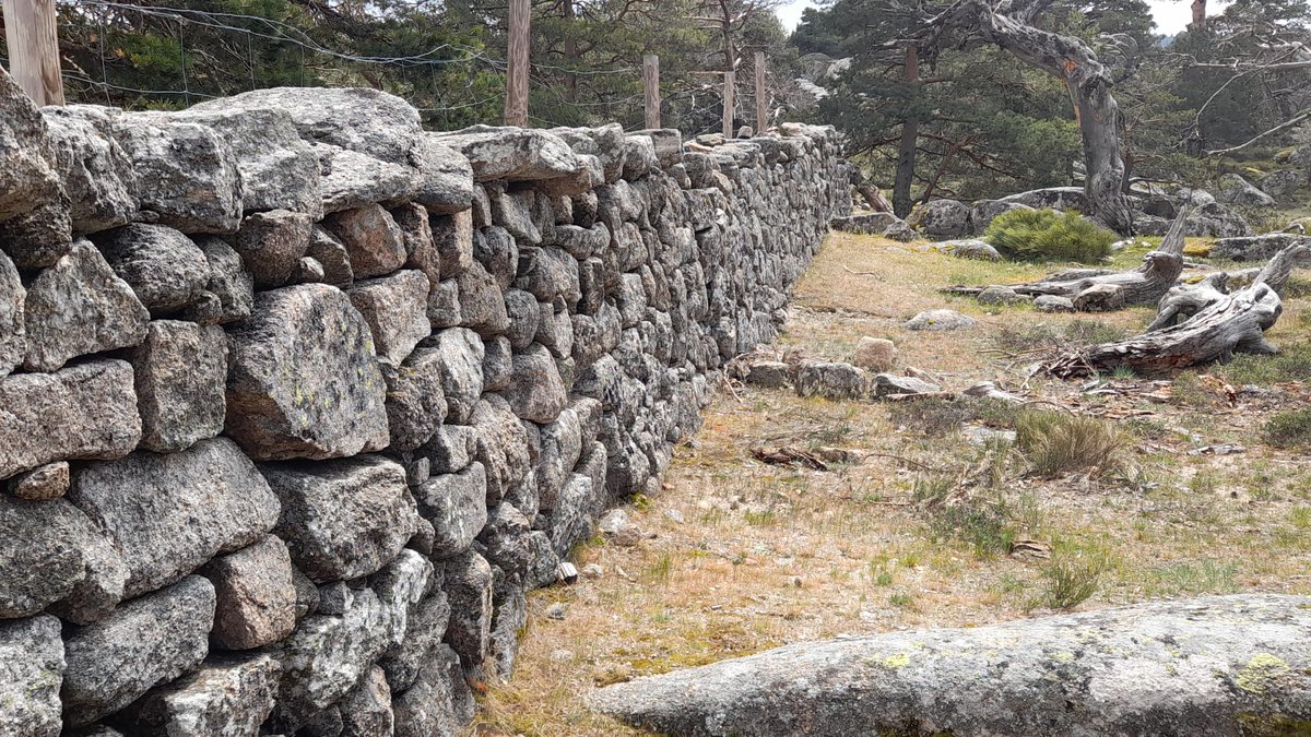 marlucjo's tweet image. #OGC #API-Features de líneas límite. api-features.ign.es/?f=html