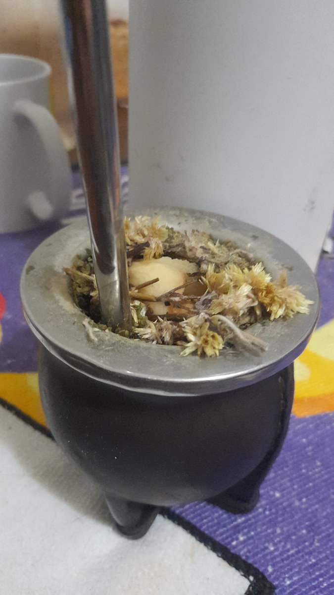 Ana #NOCON🏄‍♂️ tweet media