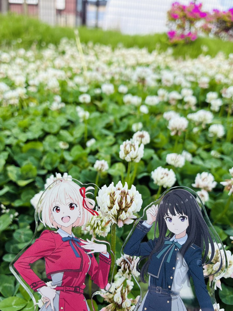 なぞのおっさん tweet media