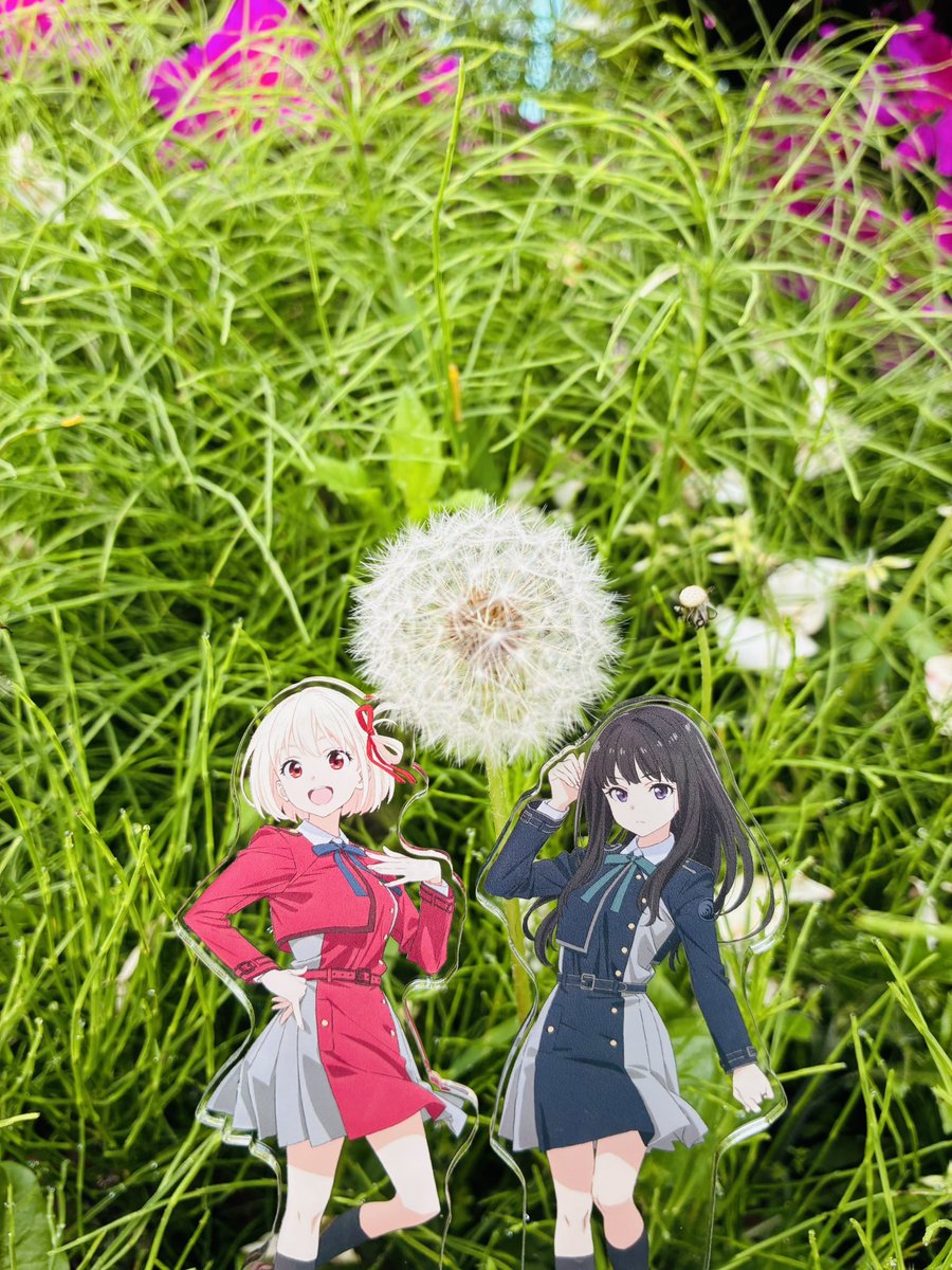 なぞのおっさん tweet media