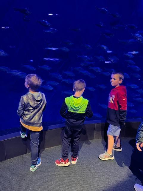 GESGuardians's tweet photo. Kindergarten had a great time and had beautiful weather at the zoo today!! https://t.co/x95iKvTtcy