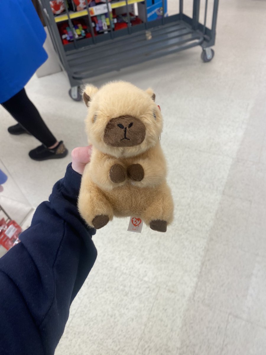 nico #lancetwt tweet media