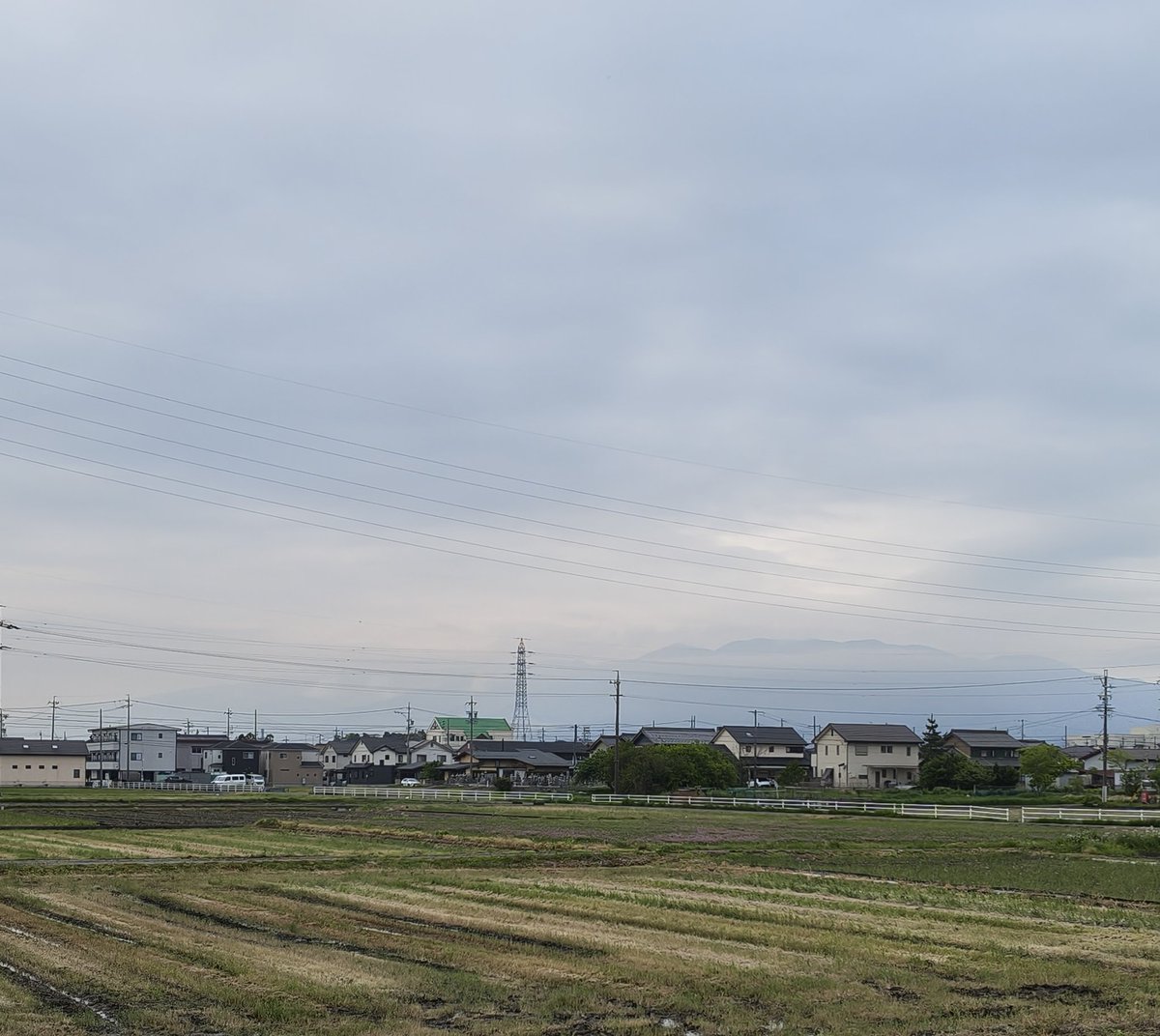 美濃のQ tweet media