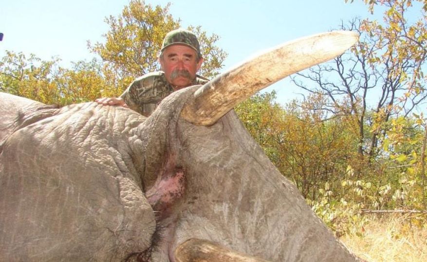 Ernie Dosio, a 75-year-old American millionaire and avid trophy hunter was kiIIed when five female elephants crushed him in Gabon's Lope-Okanda rainforest.