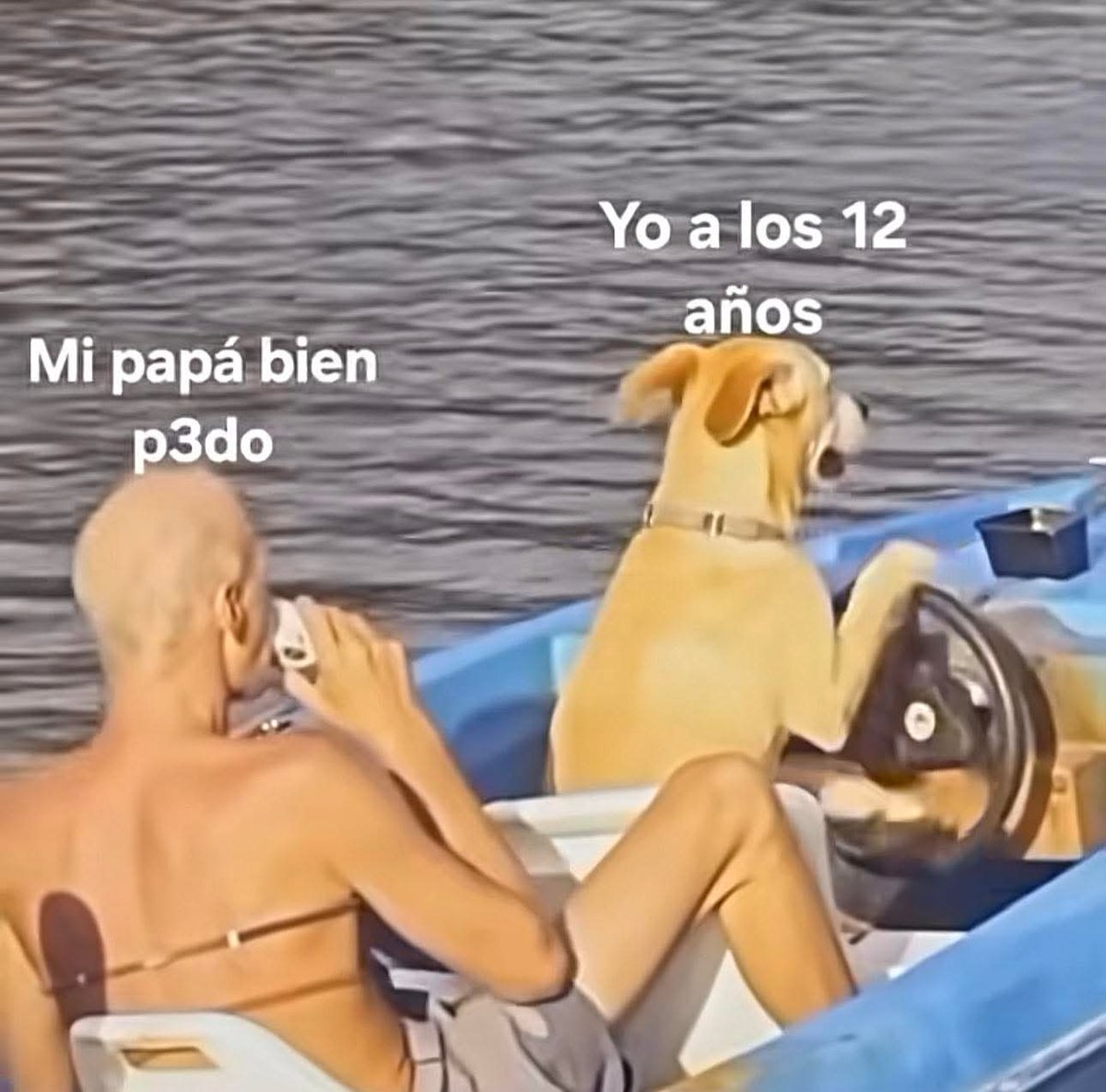 BORRACHOS EN PANDEMIA tweet media