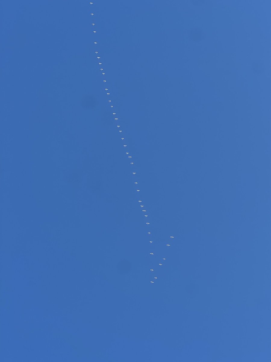 原　拓史 tweet media