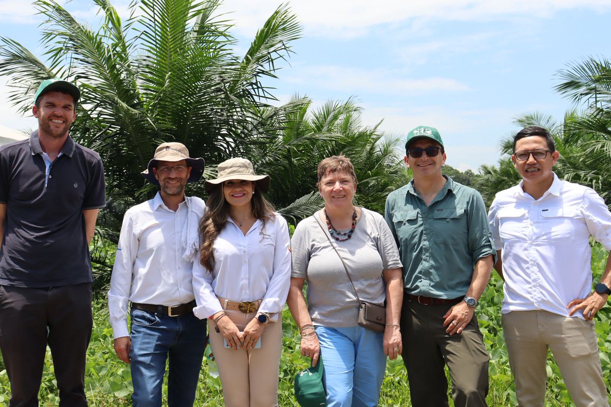 FedepalmaOrg's tweet photo. En Cumaral (Meta), acompañamos la visita de Martina Klumpp (@AlEmbajadora), Embajadora de Alemania en Colombia (@EmbAlemaniaCOL), a la Hacienda La Cabaña S.A., donde se evidencian prácticas que reflejan el compromiso del sector palmero con una producción responsable.

💧 Uso eficiente del agua
♻️ Manejo de subproductos
⚡ Generación de energía con biogás
🌿 Buenas prácticas agrícolas

 #PalmaSostenible