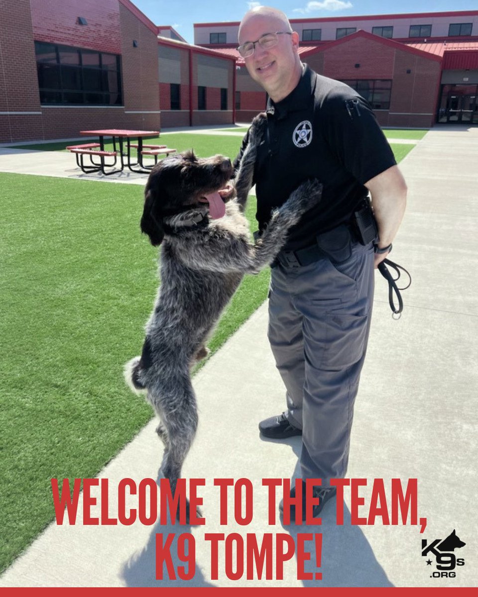 K9s.org tweet media