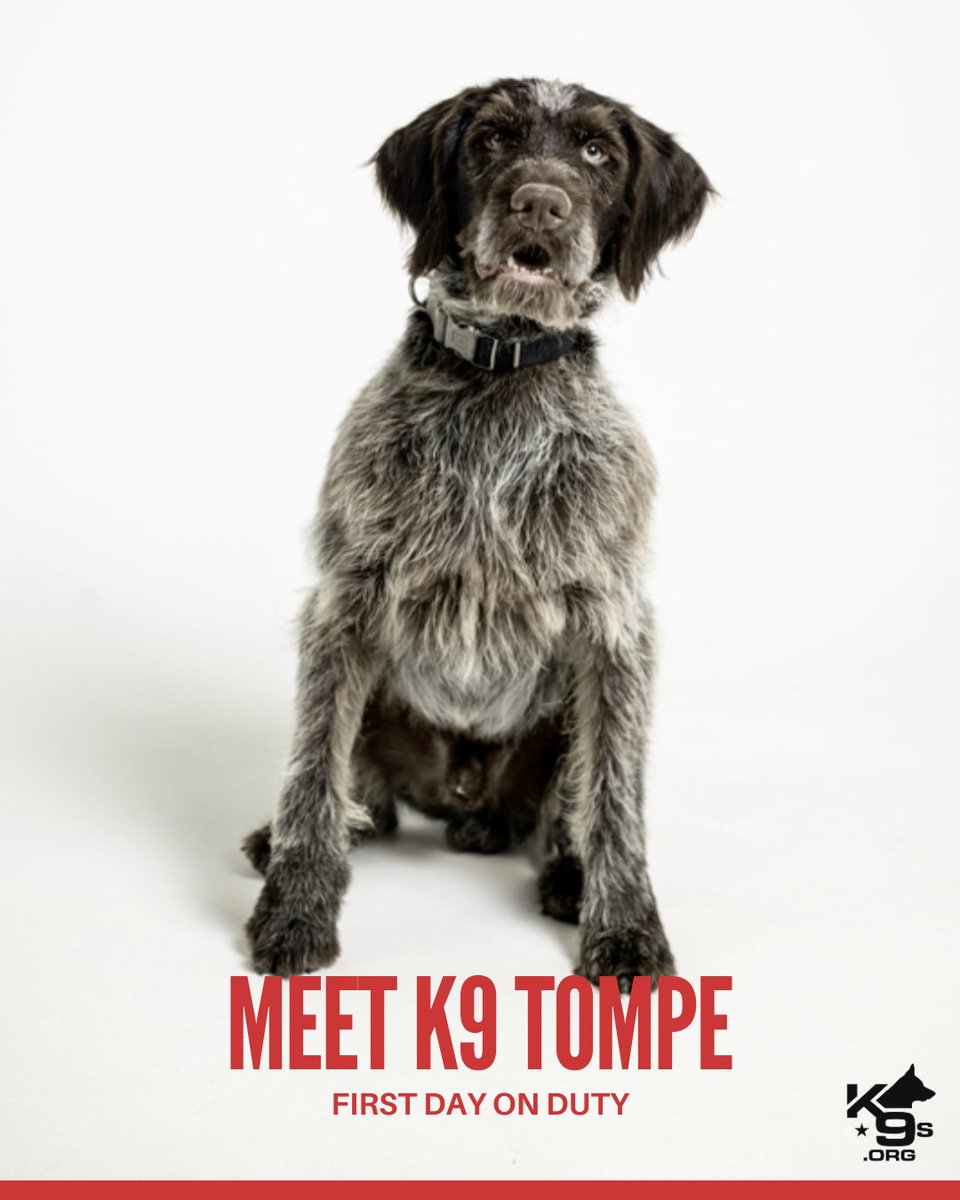K9s.org tweet media