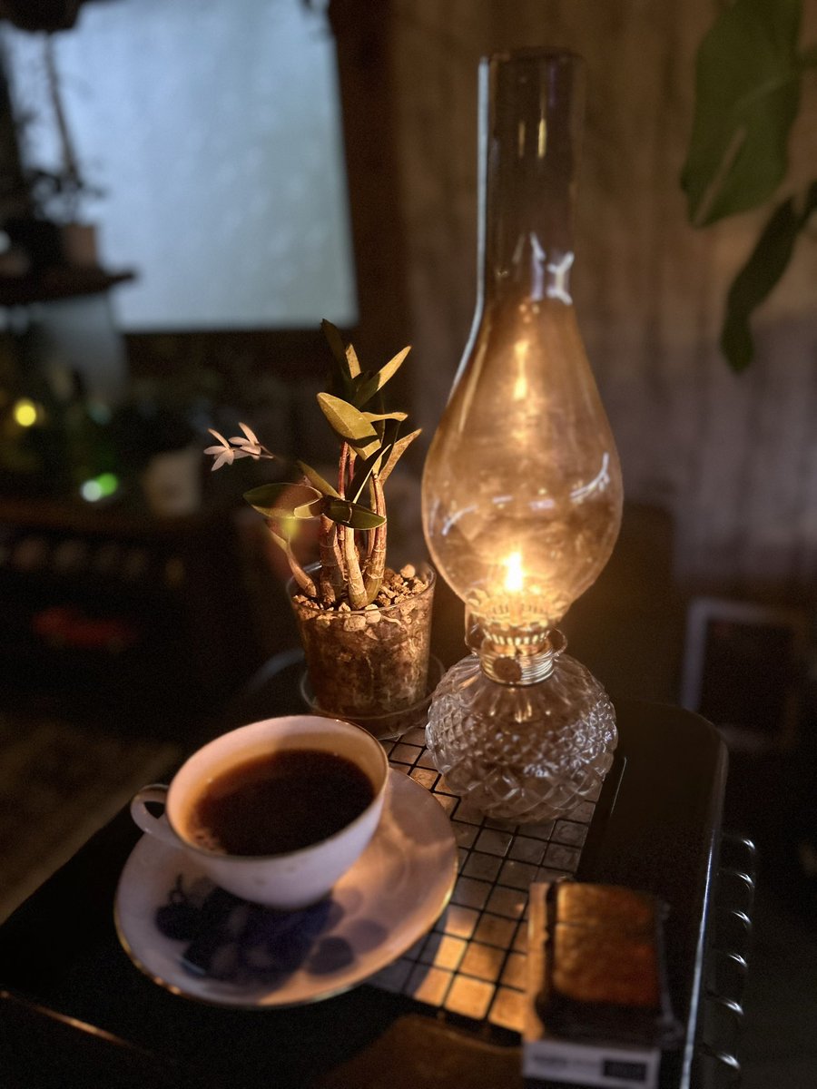 youichi3922's tweet image. 今朝の一杯は『でーじまーさんブレンド/中煎り:ウミネコ商店』

#コーヒー #コーヒー好きと繋がりたい #coffee #coffeetime #ウミネコ商店