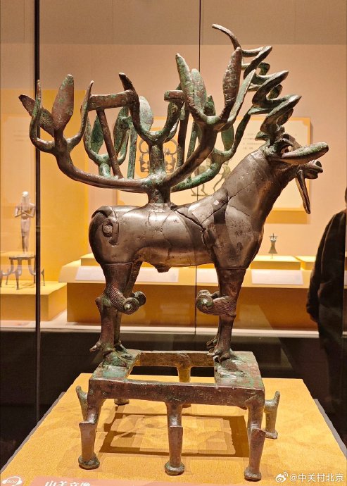 حيدر tweet media