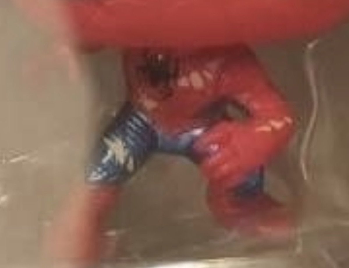 𝗔𝗿𝗮𝗻𝗵𝗮𝘃𝗲𝗿𝘀𝗼 𝔹𝕣𝕒𝕤𝕚𝕝 🕸️🇧🇷 tweet media