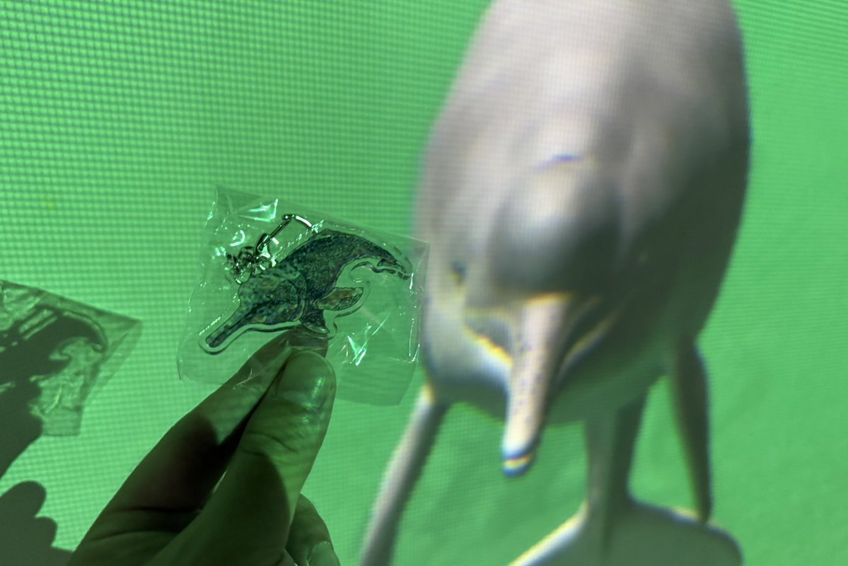 アマゾンカワイルカ、ほら、アマゾンカワイルカだよと見せつけたら、嬉しそうに見にきた。

#カワスイ