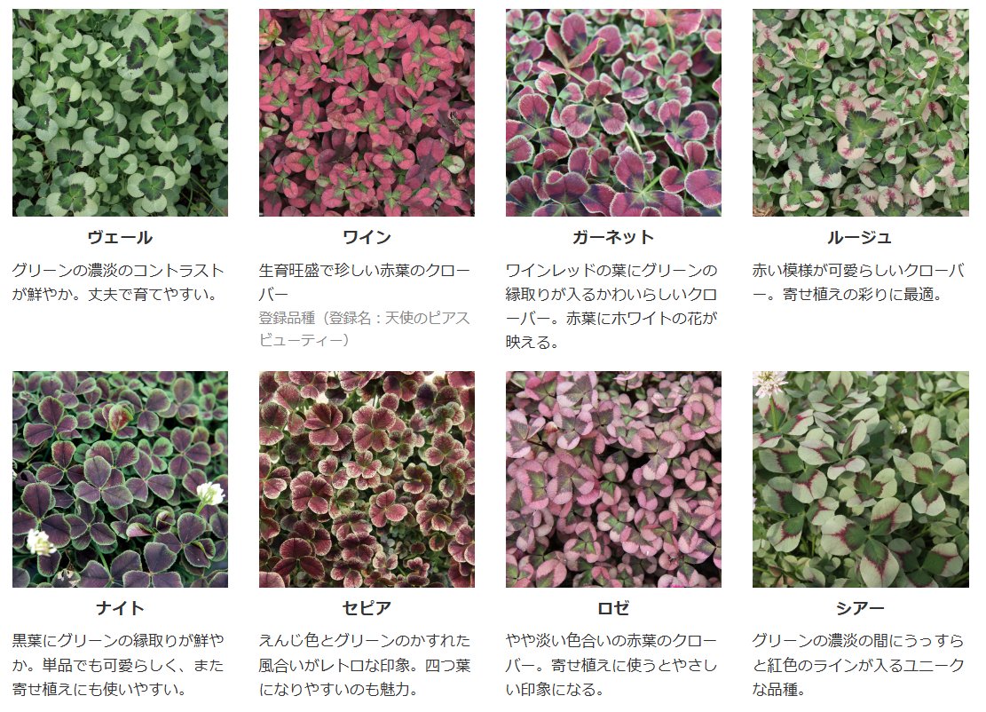 船魂funatama tweet media