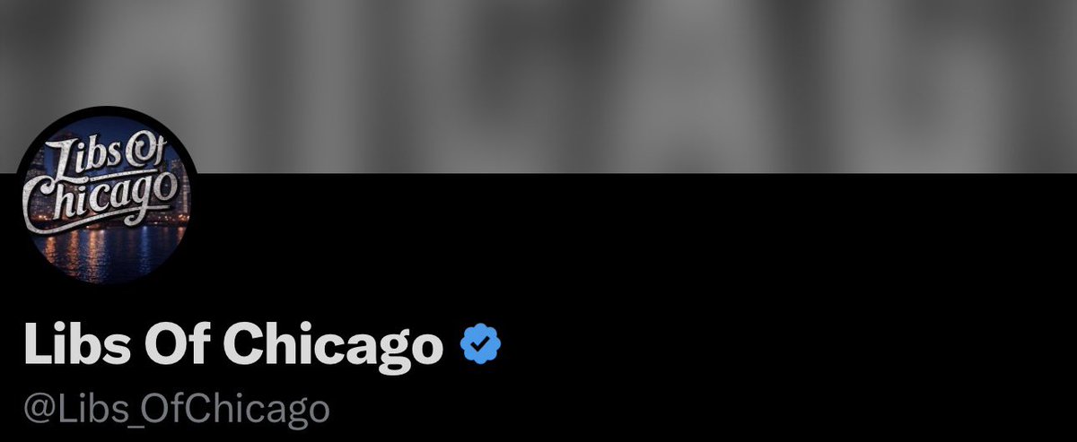 Libs Of Chicago tweet media
