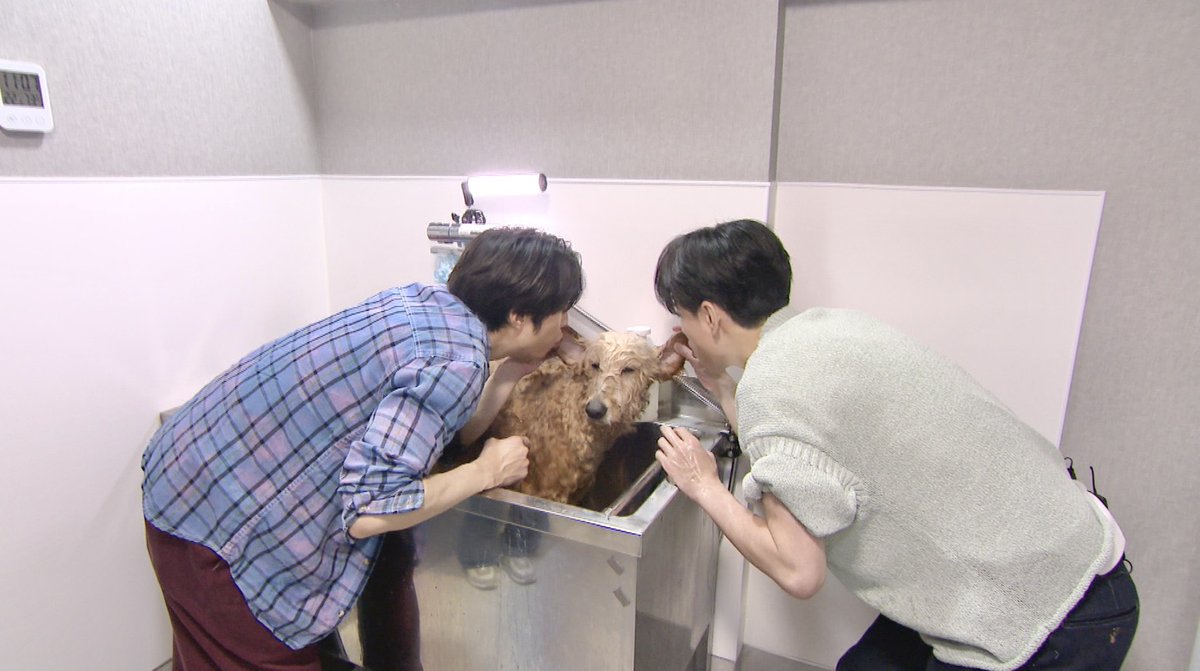 嗚呼‼︎みんなの動物園 tweet media