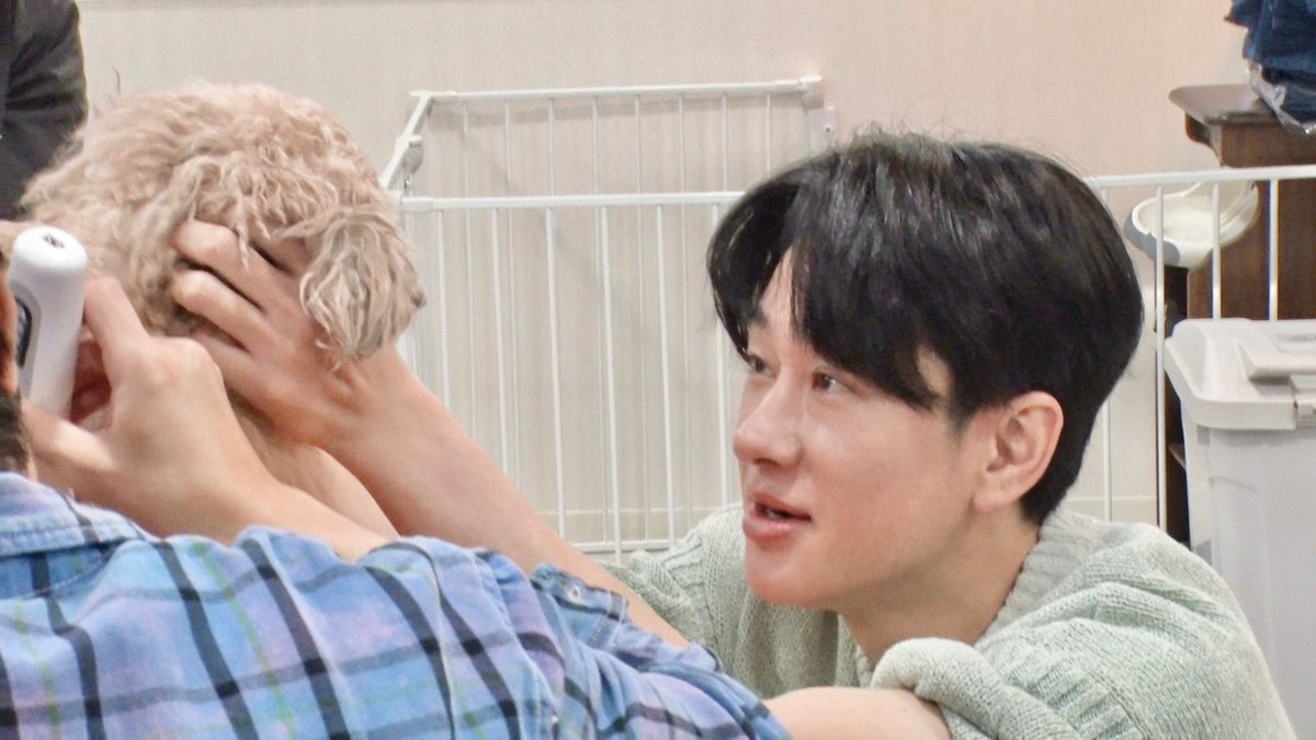 嗚呼‼︎みんなの動物園 tweet media