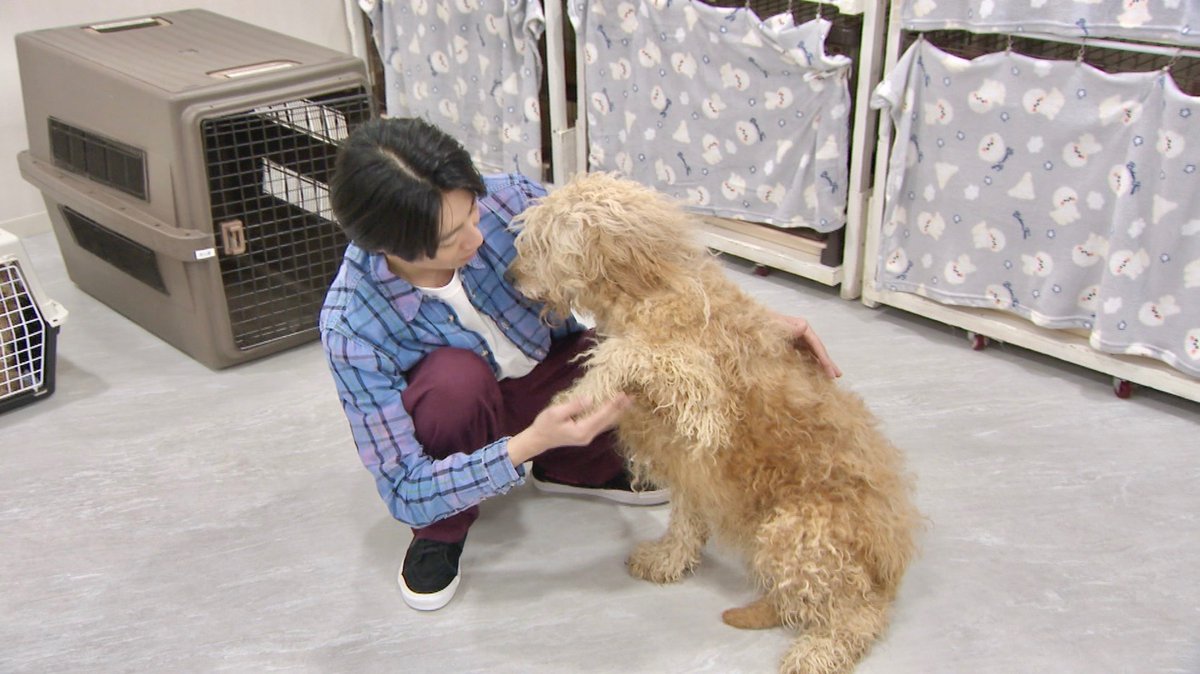 嗚呼‼︎みんなの動物園 tweet media