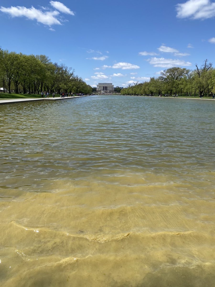 Kristen Mag tweet media