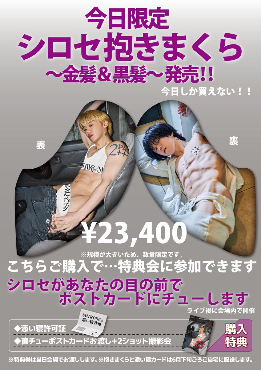 SHIROSE 抱き枕 SHIROSE 抱き枕+CD CD 〜金髪or黒髪〜 SHIROSE(WHITE