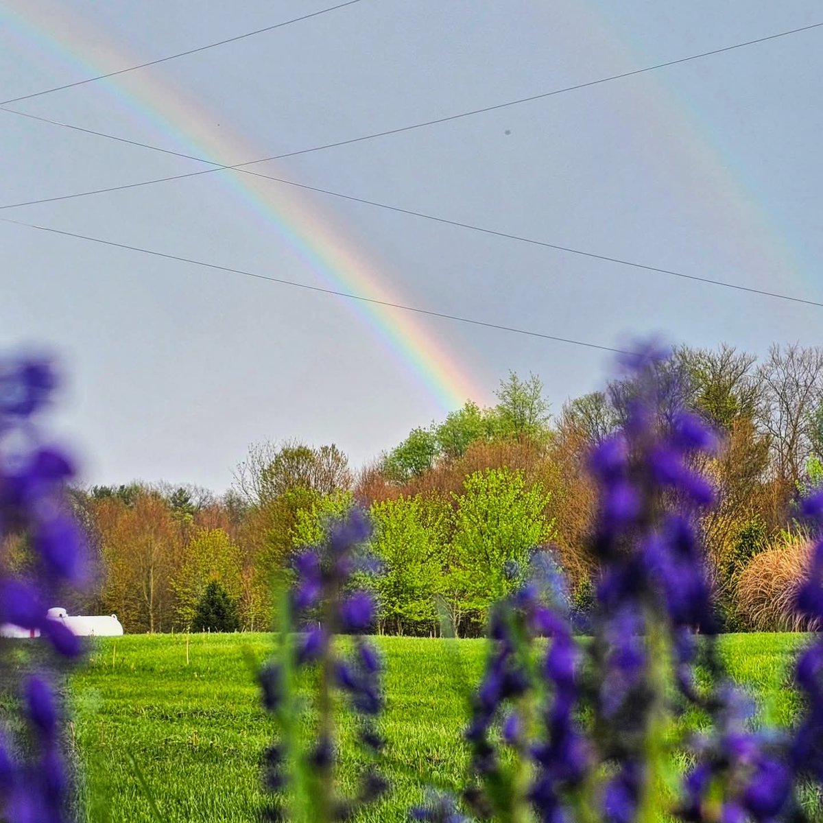 🌴Devon🌴 🇺🇸 🇧🇷 tweet media
