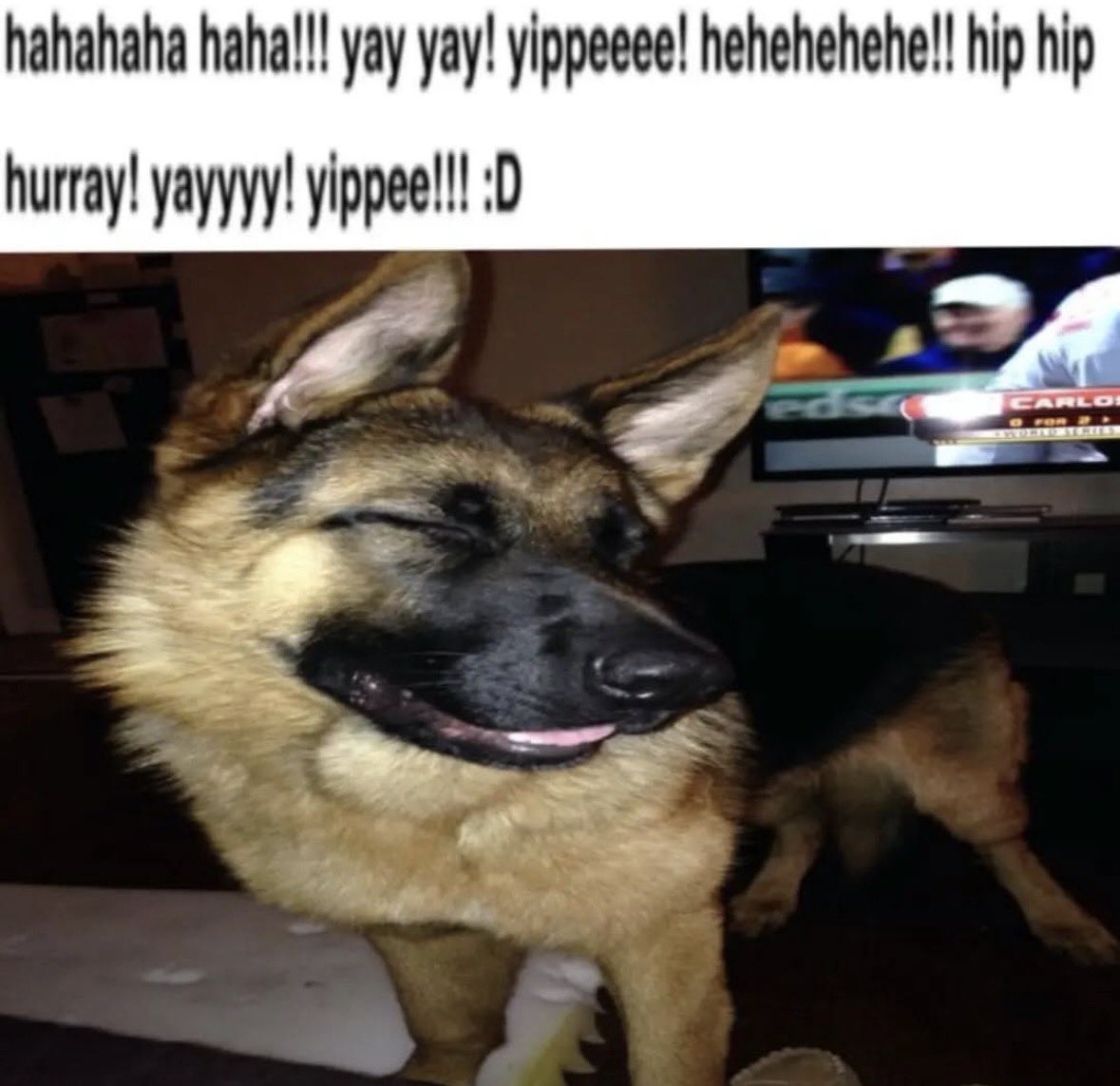 sil•va 🏳️‍🌈🏳️‍⚧️ tweet media