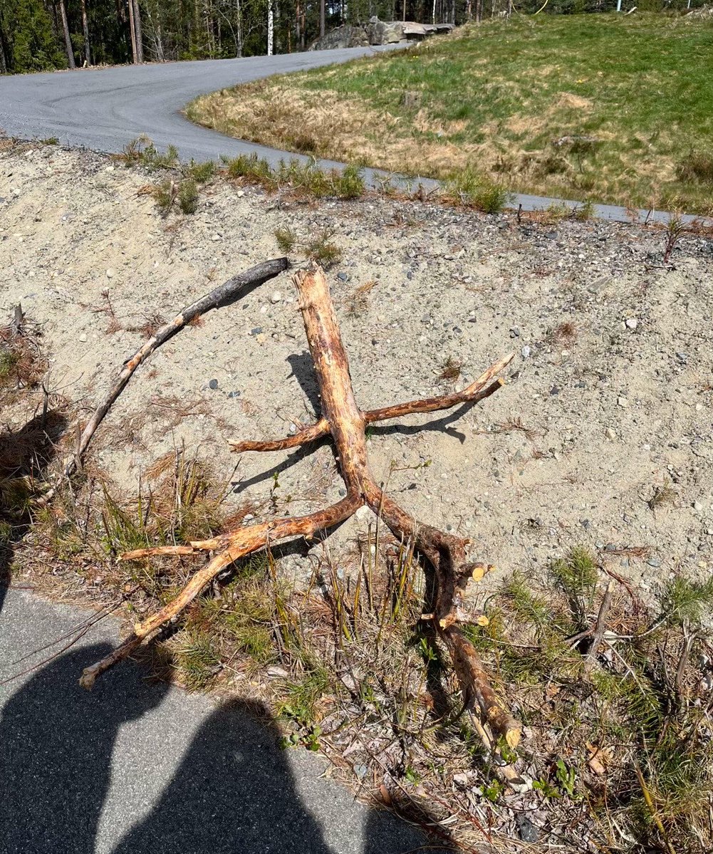 Triple T tweet media