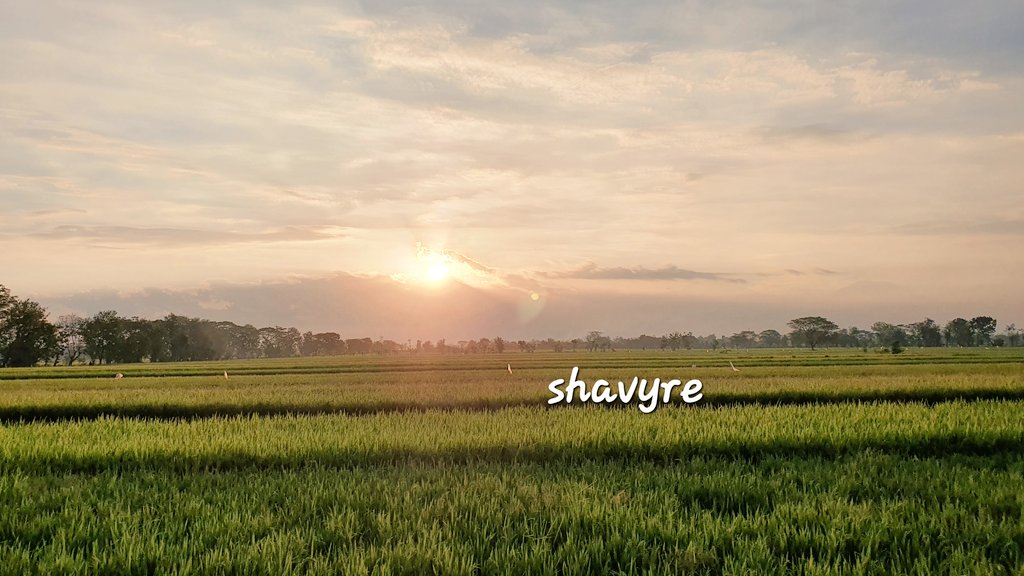 ♡ˢʰᵃᵛ༊·˚˖°⋆ tweet media