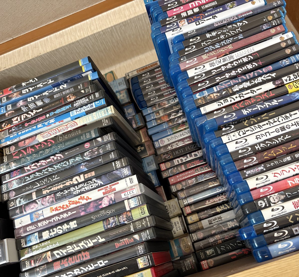 Macleod/マクラウド tweet media