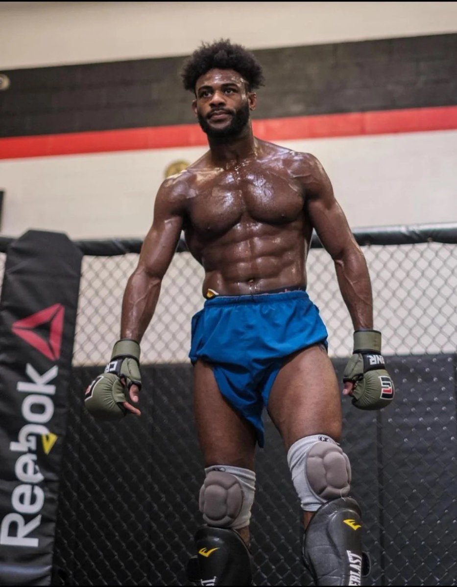 Home of Fight tweet media