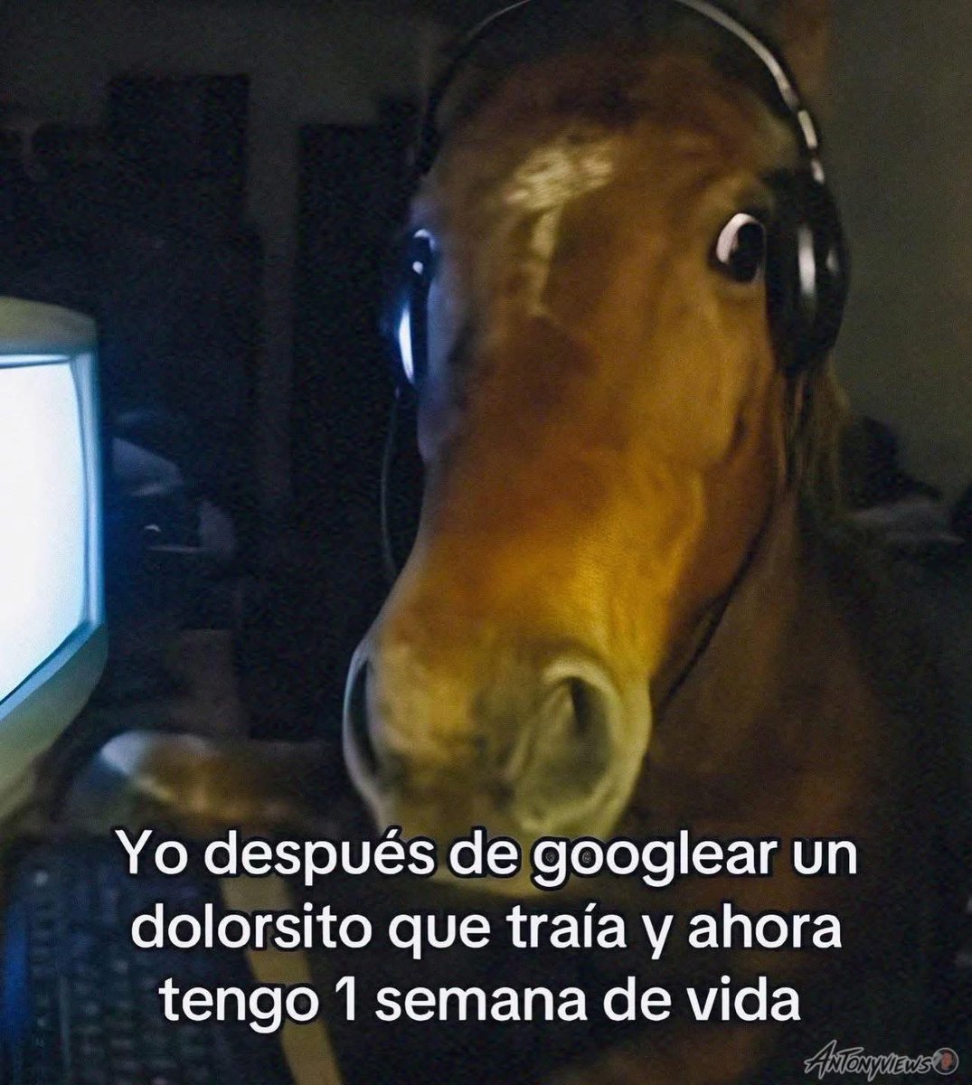 memefeos's tweet photo. https://t.co/8hysytf5Ab