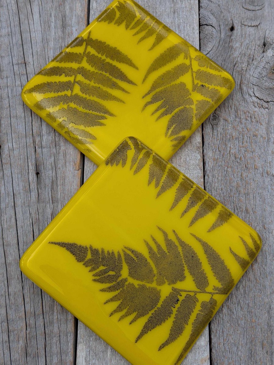 Samphireglass's tweet image. Stunning and vibrant fern leaf coasters. Each one is unique and made from sunflower yellow and clear glass with a lovely textured fern silhouettes design. Available in my Etsy shop. 

#shopindie #giftideas #homedecor

samphireglass.etsy.com/listing/4464...