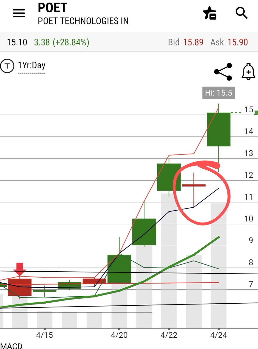 Tim Kathlina tweet media