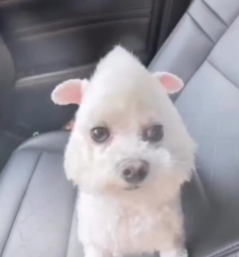 ^_________^ tweet media