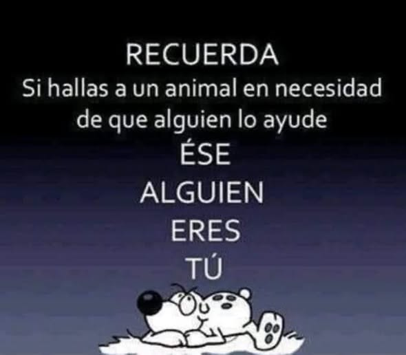 Roma traditoribus non praemiat tweet media