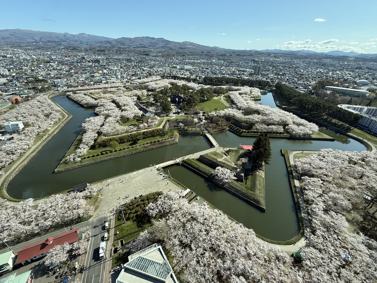 五稜郭タワーきた！絶景！