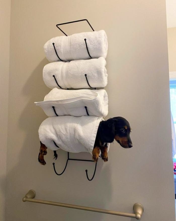 this acc will make u happy tweet media