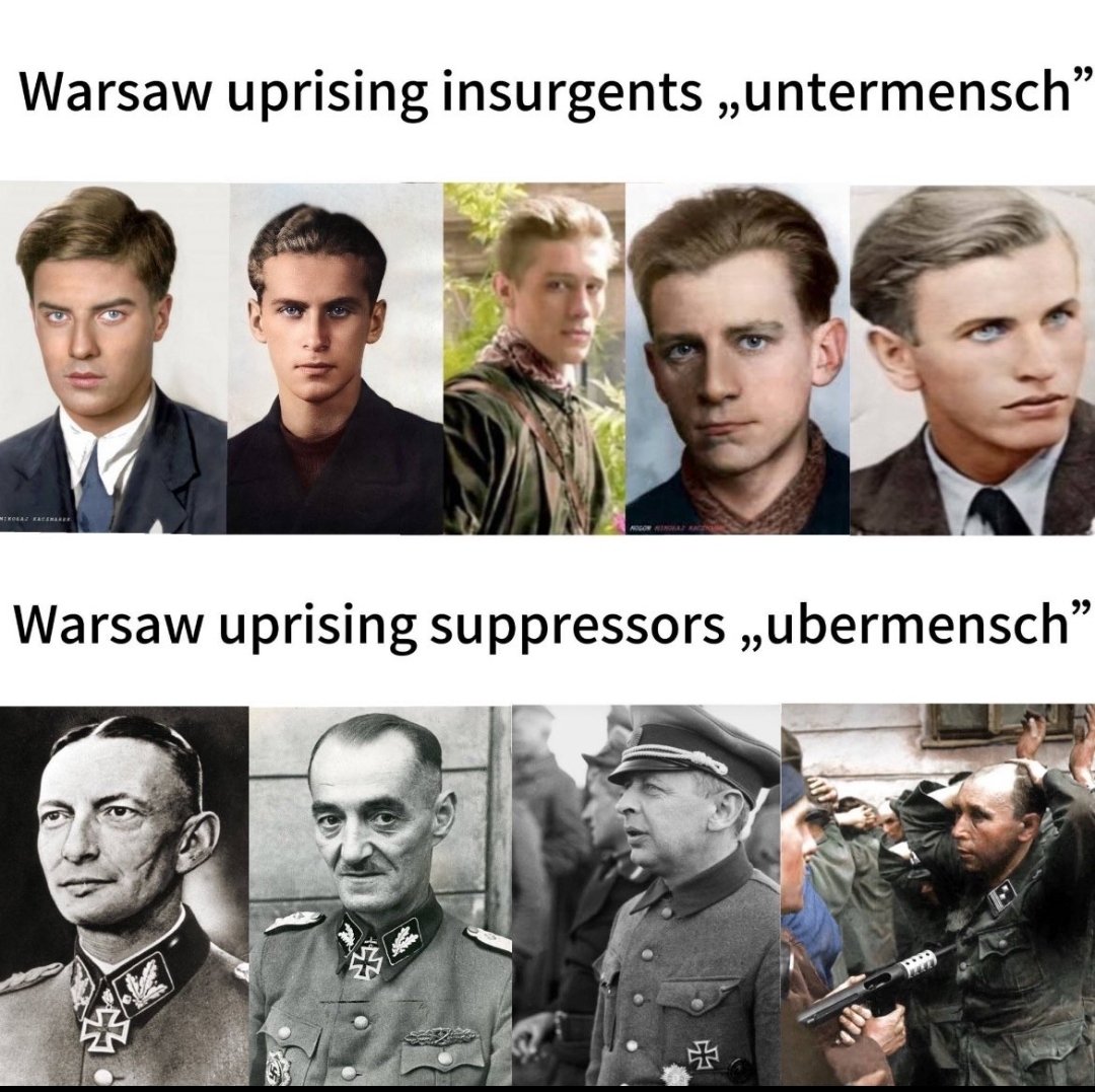 Frenski (PhD) 🇫🇷🇵🇱 tweet media
