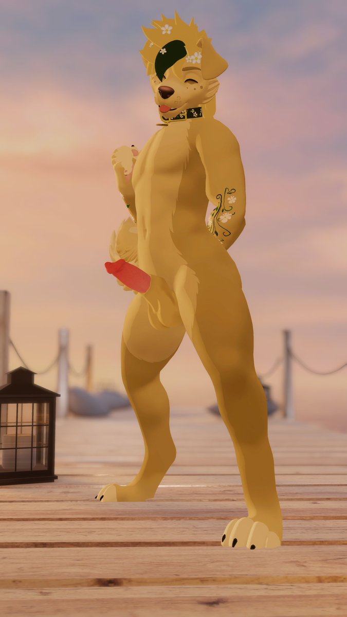 Chaotic Canines tweet media