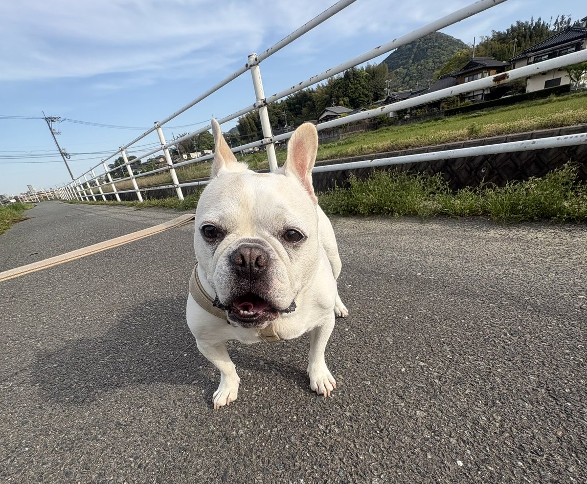 かずみ tweet media