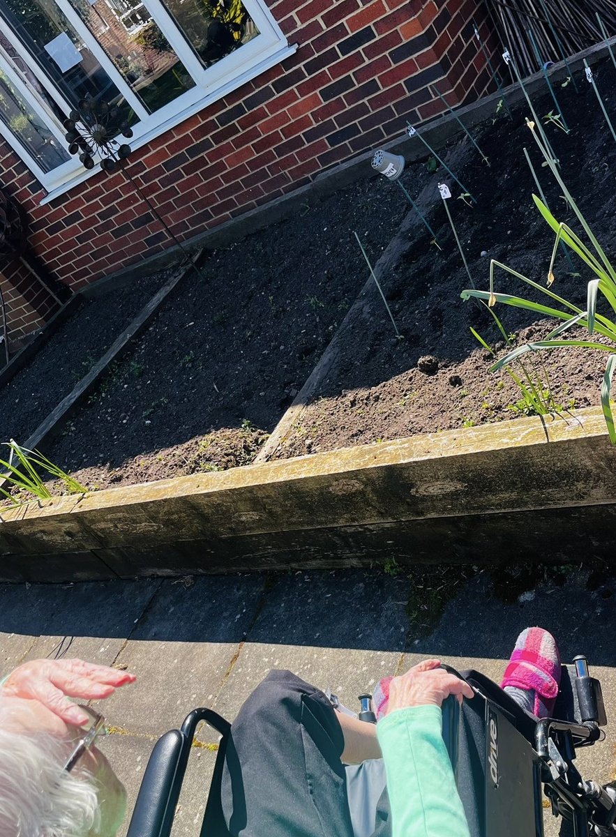 CedarCourtHome's tweet image. We transferred our sunflowers from their pots into raised beds and tidied our greenhouse ready for our next project. What a lovely day in the sun #Gardening #Sunflowers #GreenFingers #PlantingWithFriends