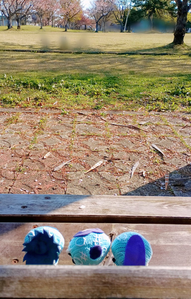 きゃめ tweet media