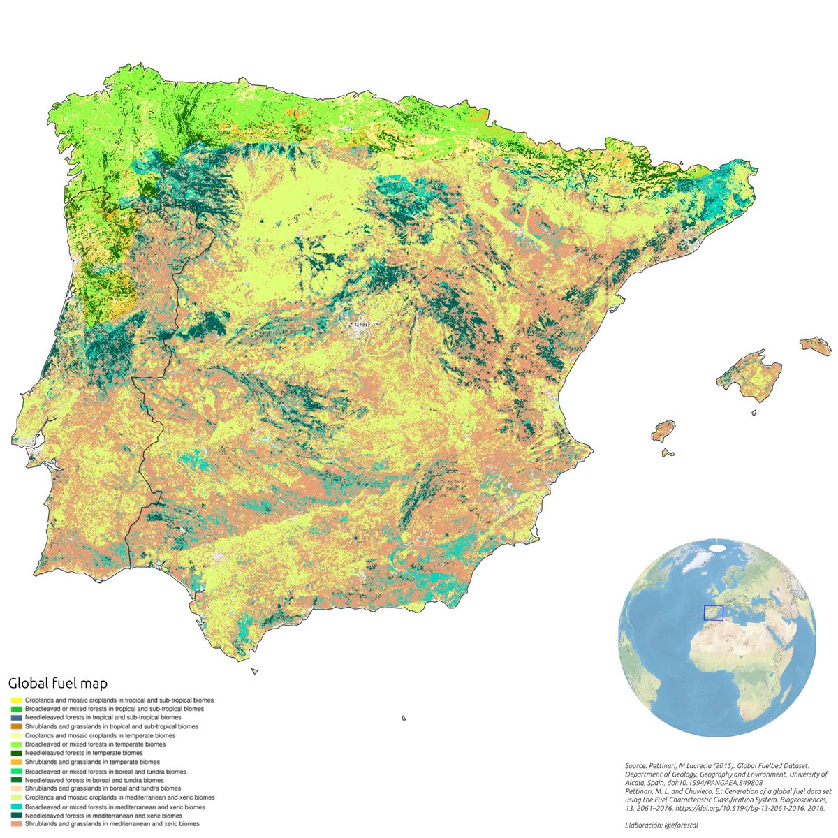 educación forestal🇪🇺 tweet media